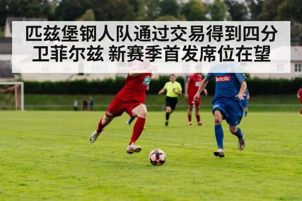 匹兹堡钢人队通过交易得到四分卫菲尔兹 新赛季首发席位在望